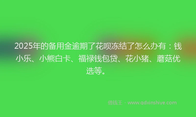 2025年的备用金逾期了花呗冻结了怎么办有：钱小乐、小熊白卡、福禄钱包贷、花小猪、蘑菇优选等。