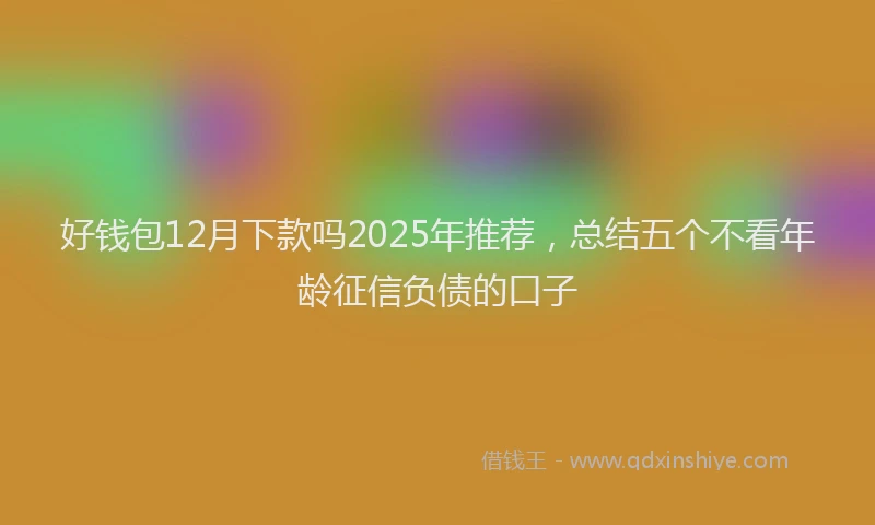好钱包12月下款吗2025年推荐，总结五个不看年龄征信负债的口子