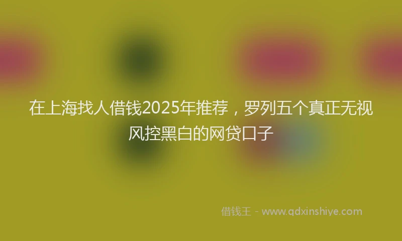 在上海找人借钱2025年推荐，罗列五个真正无视风控黑白的网贷口子