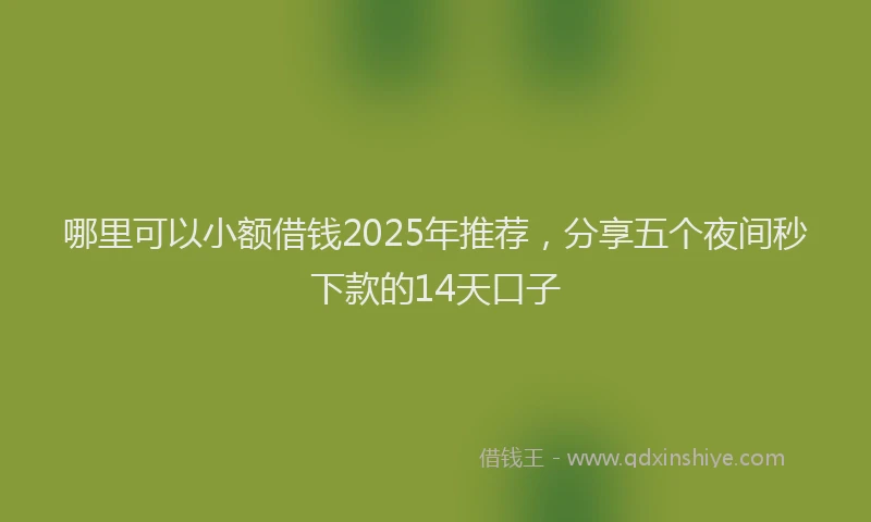 哪里可以小额借钱2025年推荐，分享五个夜间秒下款的14天口子