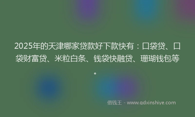 2025年的天津哪家贷款好下款快有：口袋贷、口袋财富贷、米粒白条、钱袋快融贷、珊瑚钱包等。