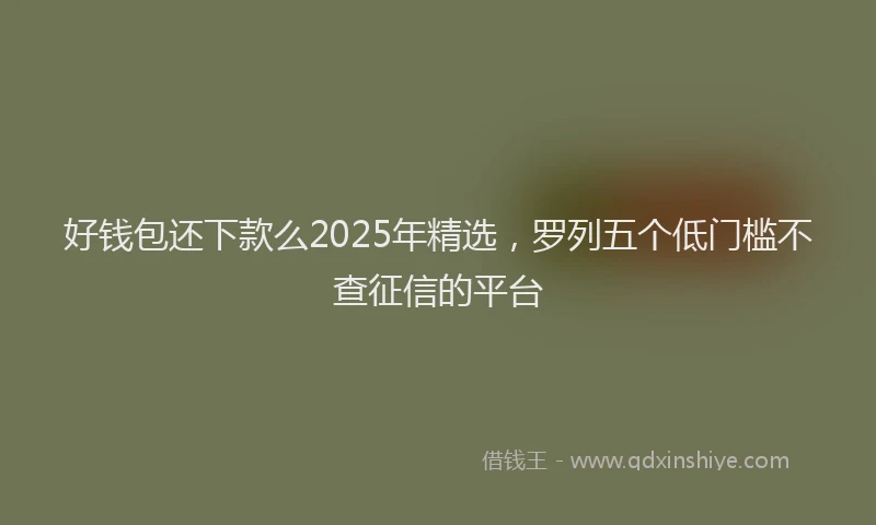 好钱包还下款么2025年精选，罗列五个低门槛不查征信的平台