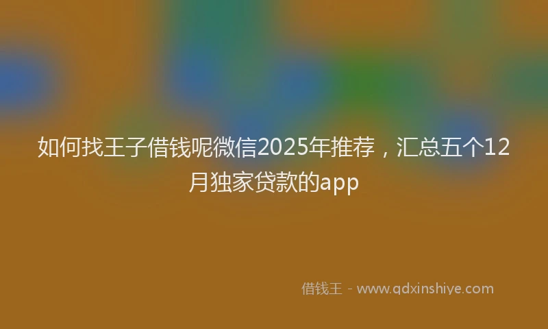 如何找王子借钱呢微信2025年推荐，汇总五个12月独家贷款的app
