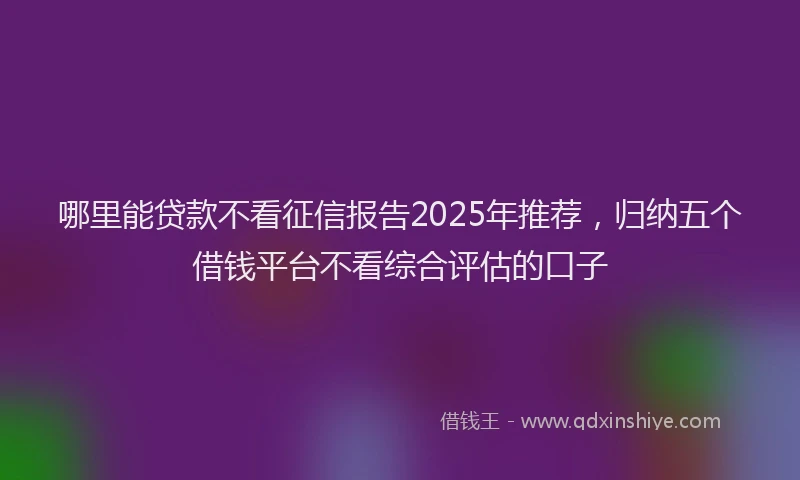 哪里能贷款不看征信报告2025年推荐，归纳五个借钱平台不看综合评估的口子