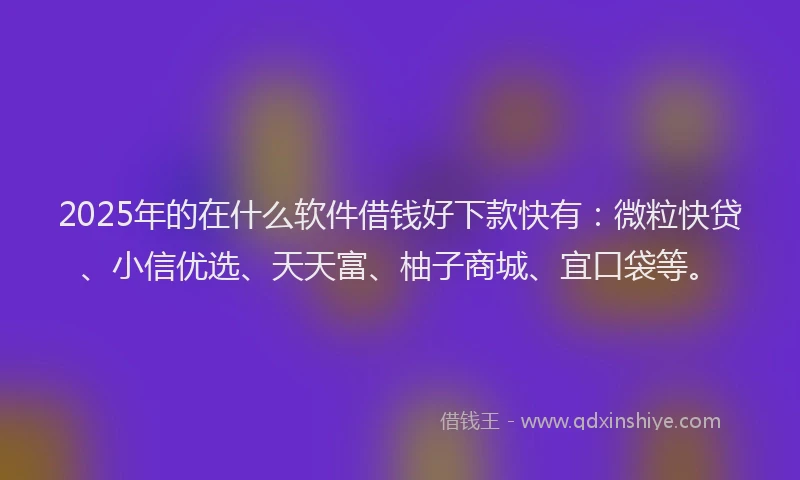 2025年的在什么软件借钱好下款快有：微粒快贷、小信优选、天天富、柚子商城、宜口袋等。