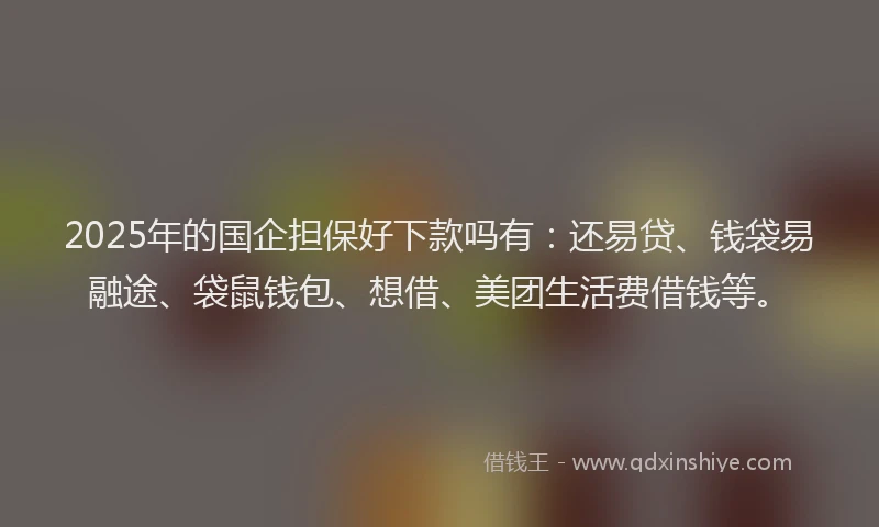 2025年的国企担保好下款吗有：还易贷、钱袋易融途、袋鼠钱包、想借、美团生活费借钱等。