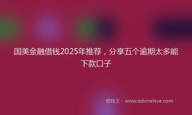 国美金融借钱2025年推荐，分享五个逾期太多能下款口子