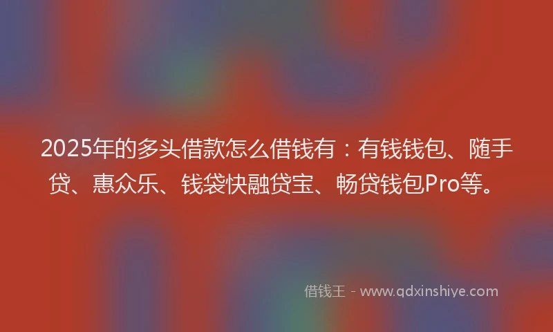 2025年的多头借款怎么借钱有：有钱钱包、随手贷、惠众乐、钱袋快融贷宝、畅贷钱包Pro等。
