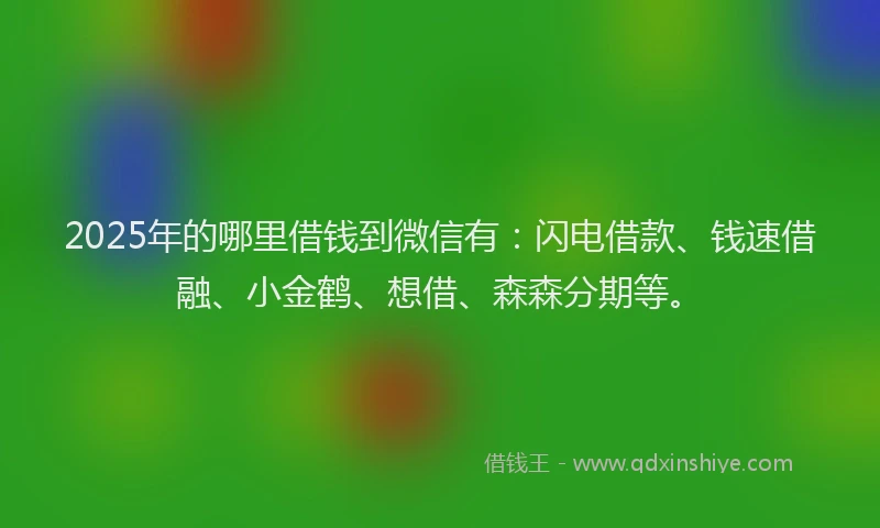 2025年的哪里借钱到微信有：闪电借款、钱速借融、小金鹤、想借、森森分期等。