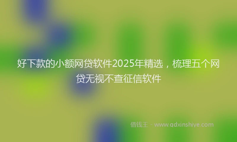 好下款的小额网贷软件2025年精选，梳理五个网贷无视不查征信软件