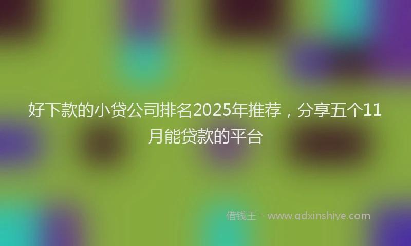 好下款的小贷公司排名2025年推荐，分享五个11月能贷款的平台