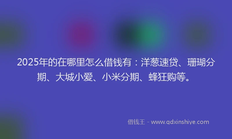 2025年的在哪里怎么借钱有：洋葱速贷、珊瑚分期、大城小爱、小米分期、蜂狂购等。