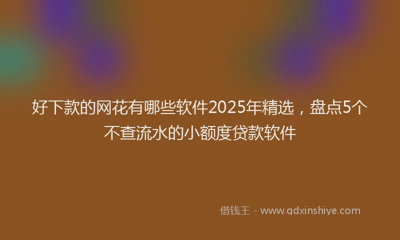 好下款的网花有哪些软件2025年精选，盘点5个不查流水的小额度贷款软件