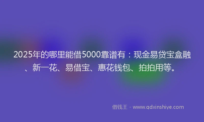 2025年的哪里能借5000靠谱有：现金易贷宝盒融、新一花、易借宝、惠花钱包、拍拍用等。