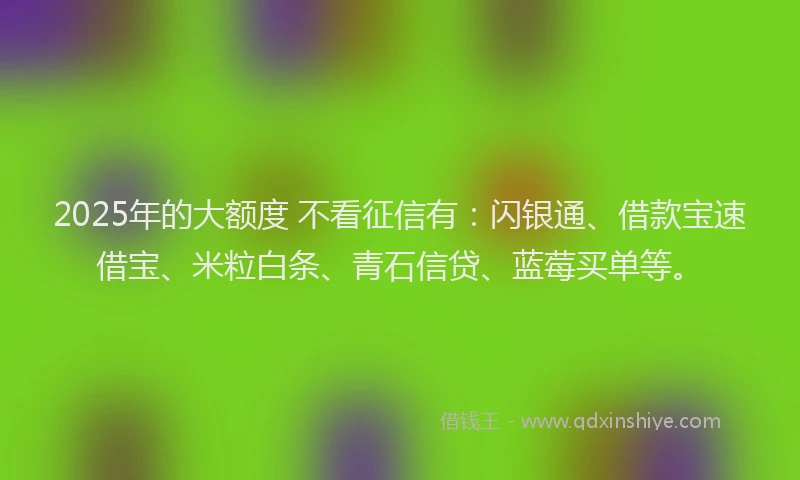 2025年的大额度 不看征信有：闪银通、借款宝速借宝、米粒白条、青石信贷、蓝莓买单等。