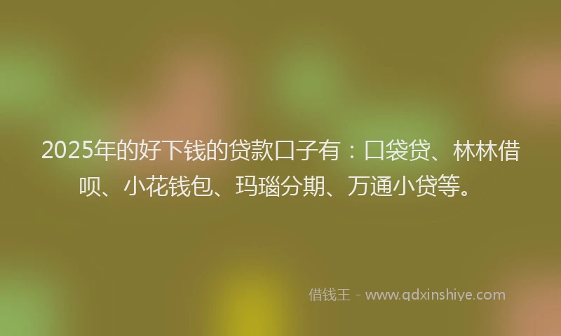 2025年的好下钱的贷款口子有：口袋贷、林林借呗、小花钱包、玛瑙分期、万通小贷等。