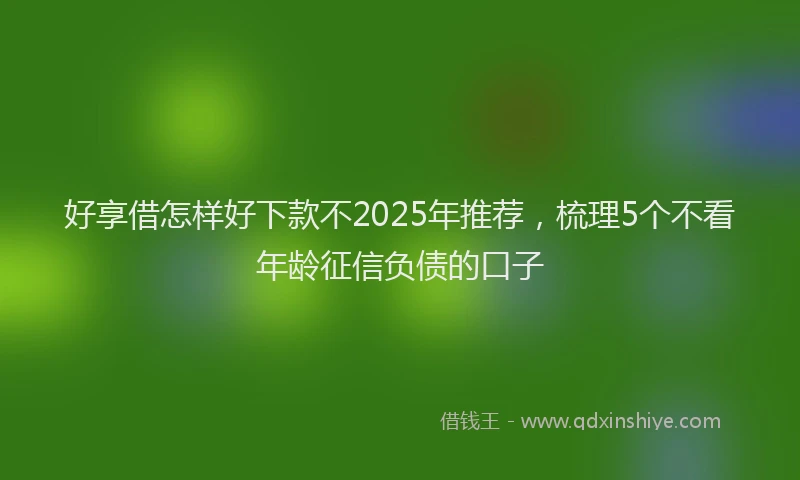 好享借怎样好下款不2025年推荐，梳理5个不看年龄征信负债的口子