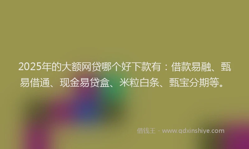 2025年的大额网贷哪个好下款有：借款易融、甄易借通、现金易贷盒、米粒白条、甄宝分期等。