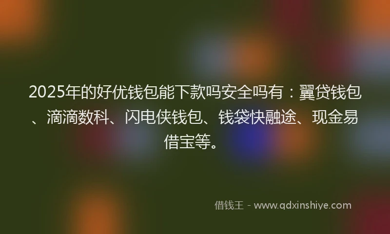 2025年的好优钱包能下款吗安全吗有：翼贷钱包、滴滴数科、闪电侠钱包、钱袋快融途、现金易借宝等。