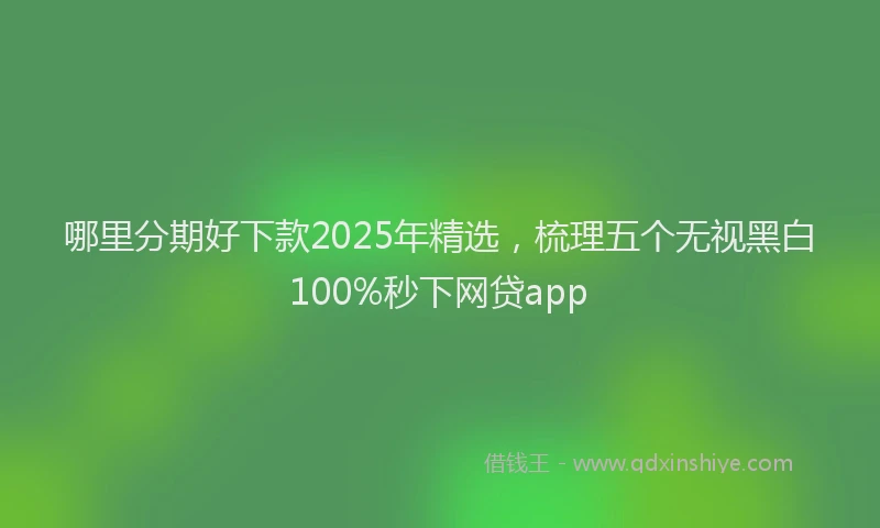 哪里分期好下款2025年精选，梳理五个无视黑白100%秒下网贷app