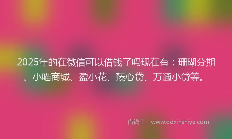 2025年的在微信可以借钱了吗现在有：珊瑚分期、小喵商城、盈小花、臻心贷、万通小贷等。