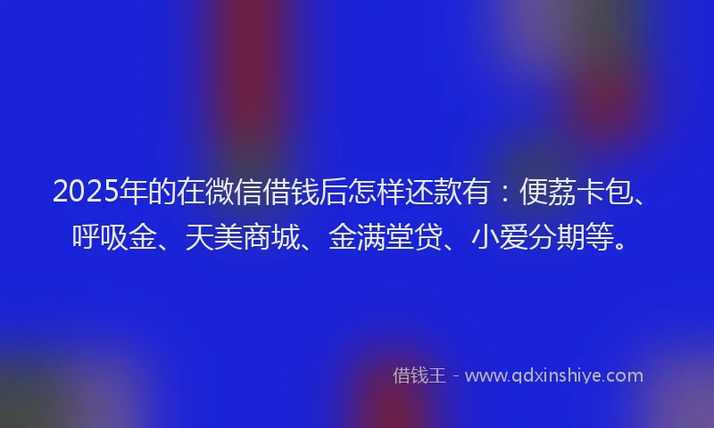 2025年的在微信借钱后怎样还款有：便荔卡包、呼吸金、天美商城、金满堂贷、小爱分期等。