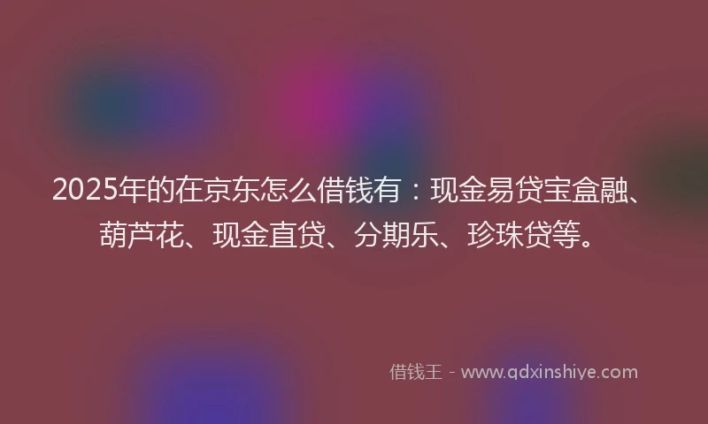 2025年的在京东怎么借钱有：现金易贷宝盒融、葫芦花、现金直贷、分期乐、珍珠贷等。