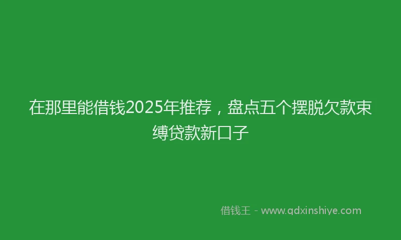 在那里能借钱2025年推荐，盘点五个摆脱欠款束缚贷款新口子
