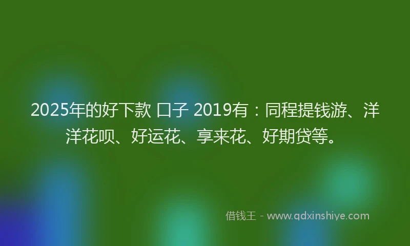 2025年的好下款 口子 2019有：同程提钱游、洋洋花呗、好运花、享来花、好期贷等。