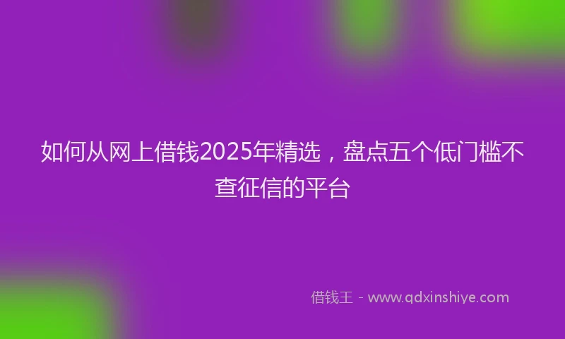 如何从网上借钱2025年精选，盘点五个低门槛不查征信的平台