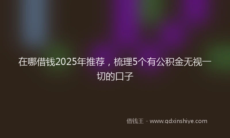 在哪借钱2025年推荐，梳理5个有公积金无视一切的口子