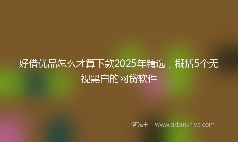 好借优品怎么才算下款2025年精选，概括5个无视黑白的网贷软件