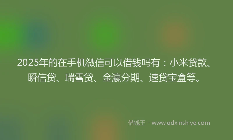 2025年的在手机微信可以借钱吗有：小米贷款、瞬信贷、瑞雪贷、金瀛分期、速贷宝盒等。