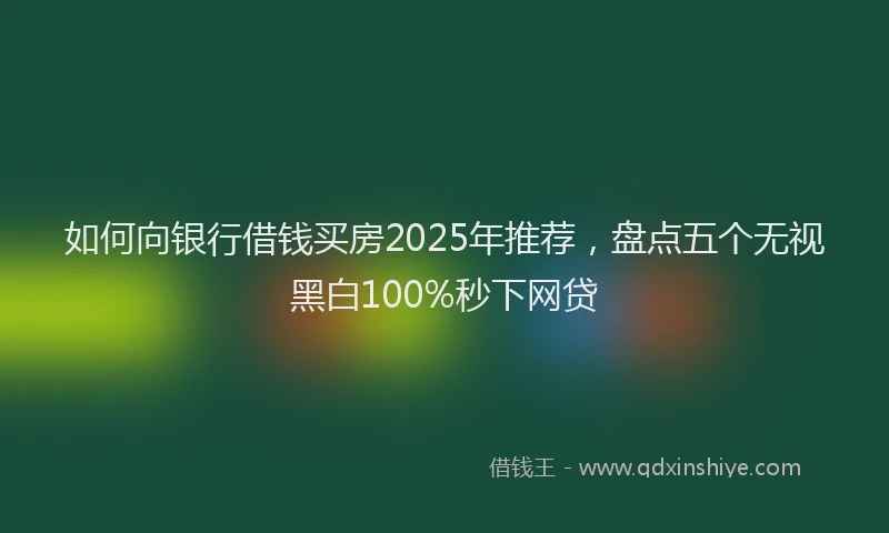 如何向银行借钱买房2025年推荐，盘点五个无视黑白100%秒下网贷