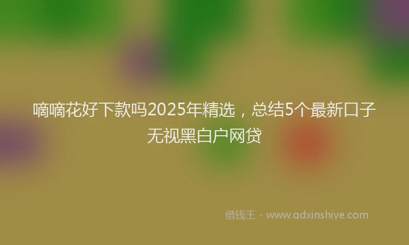 嘀嘀花好下款吗2025年精选，总结5个最新口子无视黑白户网贷