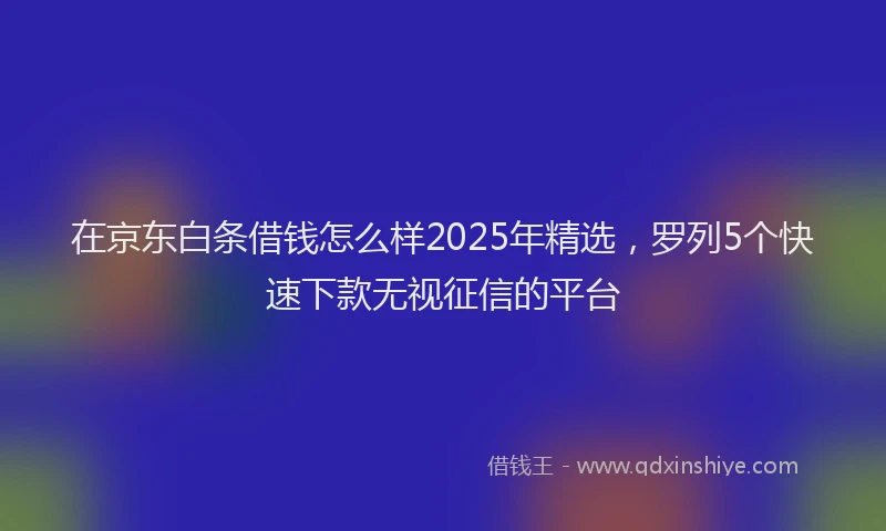 在京东白条借钱怎么样2025年精选，罗列5个快速下款无视征信的平台