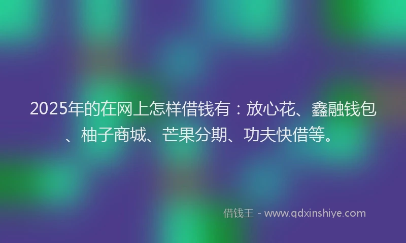 2025年的在网上怎样借钱有：放心花、鑫融钱包、柚子商城、芒果分期、功夫快借等。