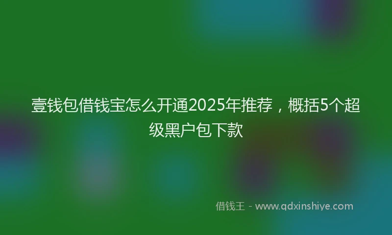 壹钱包借钱宝怎么开通2025年推荐，概括5个超级黑户包下款