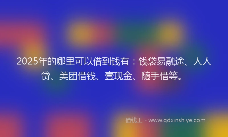 2025年的哪里可以借到钱有：钱袋易融途、人人贷、美团借钱、壹现金、随手借等。