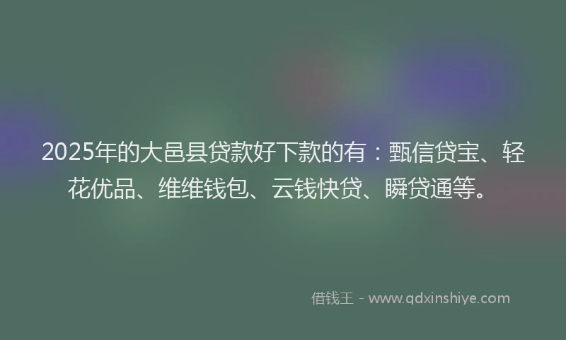 2025年的大邑县贷款好下款的有：甄信贷宝、轻花优品、维维钱包、云钱快贷、瞬贷通等。