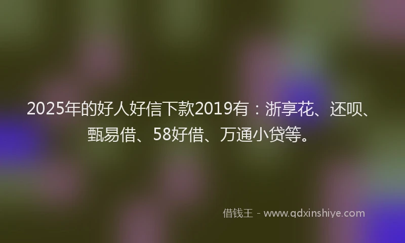 2025年的好人好信下款2019有：浙享花、还呗、甄易借、58好借、万通小贷等。