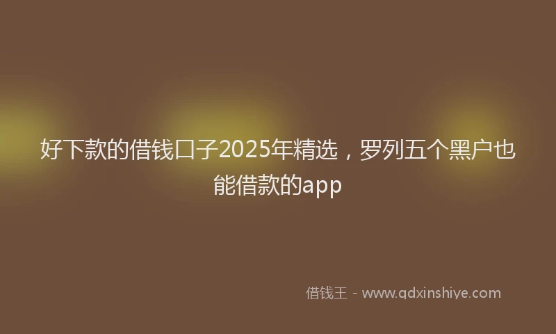 好下款的借钱口子2025年精选，罗列五个黑户也能借款的app