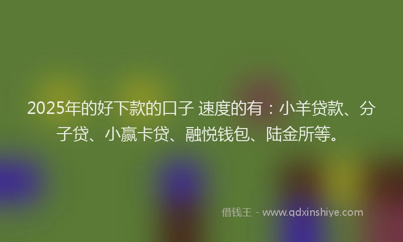 2025年的好下款的口子 速度的有：小羊贷款、分子贷、小赢卡贷、融悦钱包、陆金所等。