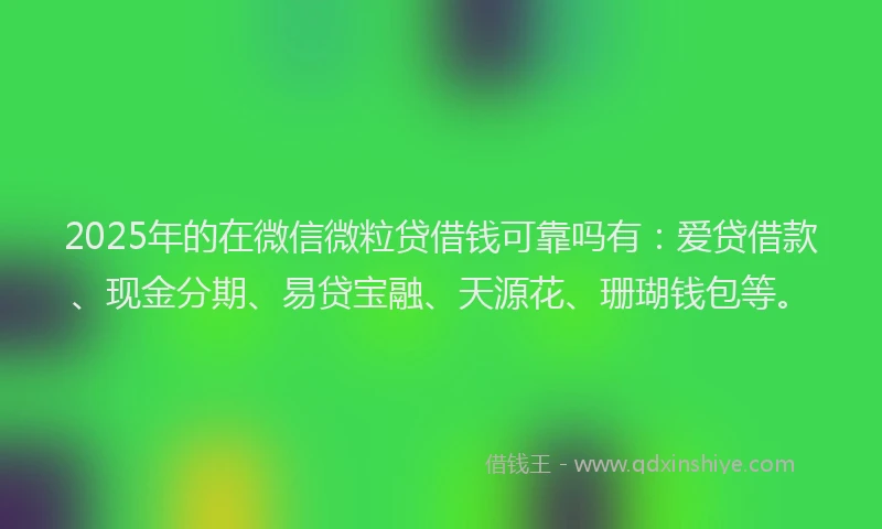 2025年的在微信微粒贷借钱可靠吗有：爱贷借款、现金分期、易贷宝融、天源花、珊瑚钱包等。