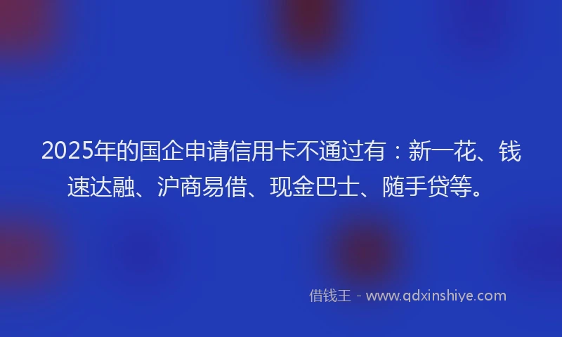 2025年的国企申请信用卡不通过有：新一花、钱速达融、沪商易借、现金巴士、随手贷等。