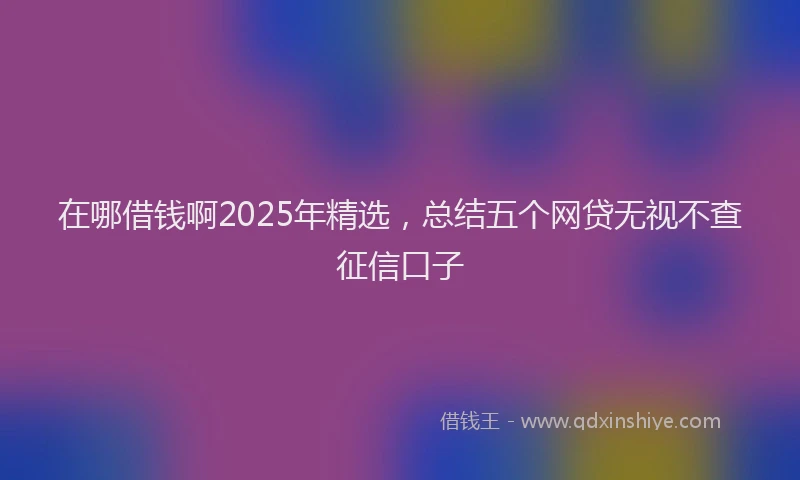 在哪借钱啊2025年精选，总结五个网贷无视不查征信口子