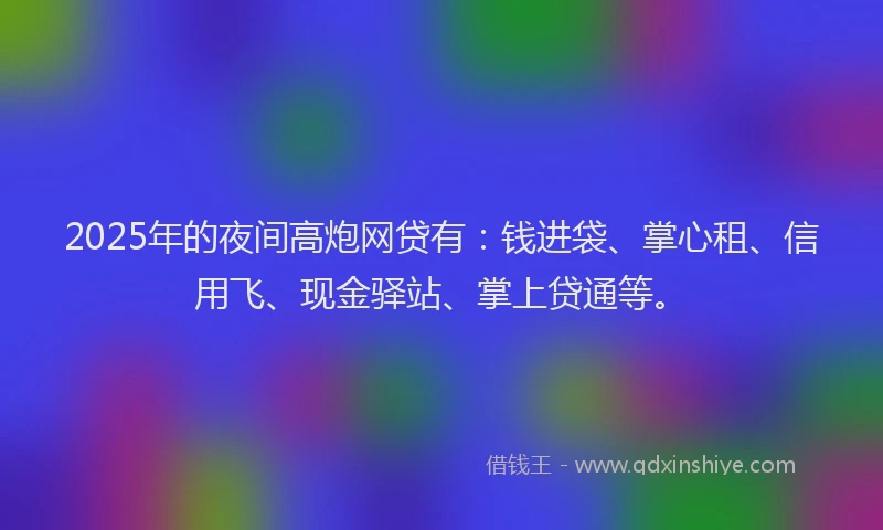 2025年的夜间高炮网贷有：钱进袋、掌心租、信用飞、现金驿站、掌上贷通等。
