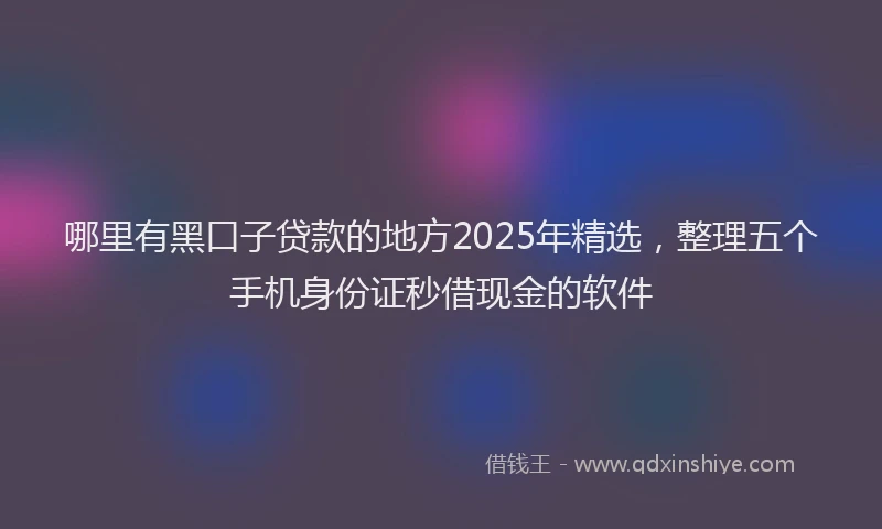 哪里有黑口子贷款的地方2025年精选，整理五个手机身份证秒借现金的软件
