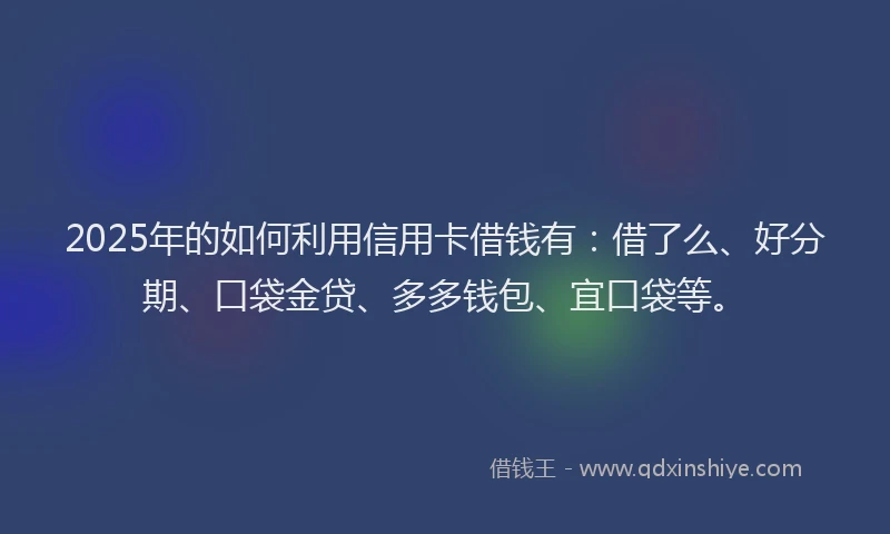2025年的如何利用信用卡借钱有：借了么、好分期、口袋金贷、多多钱包、宜口袋等。