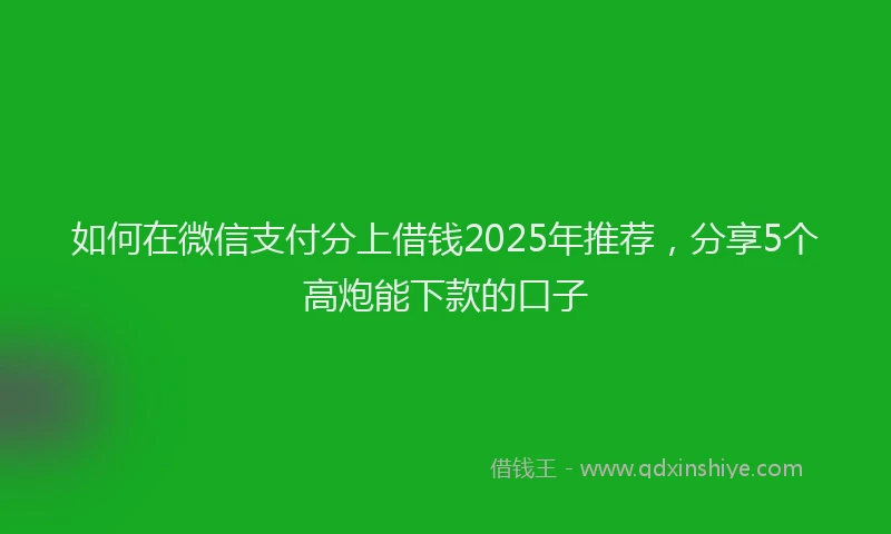如何在微信支付分上借钱2025年推荐，分享5个高炮能下款的口子